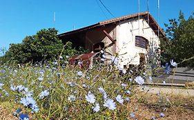 Albergue & Cafeteria Via De La Plata Hervas